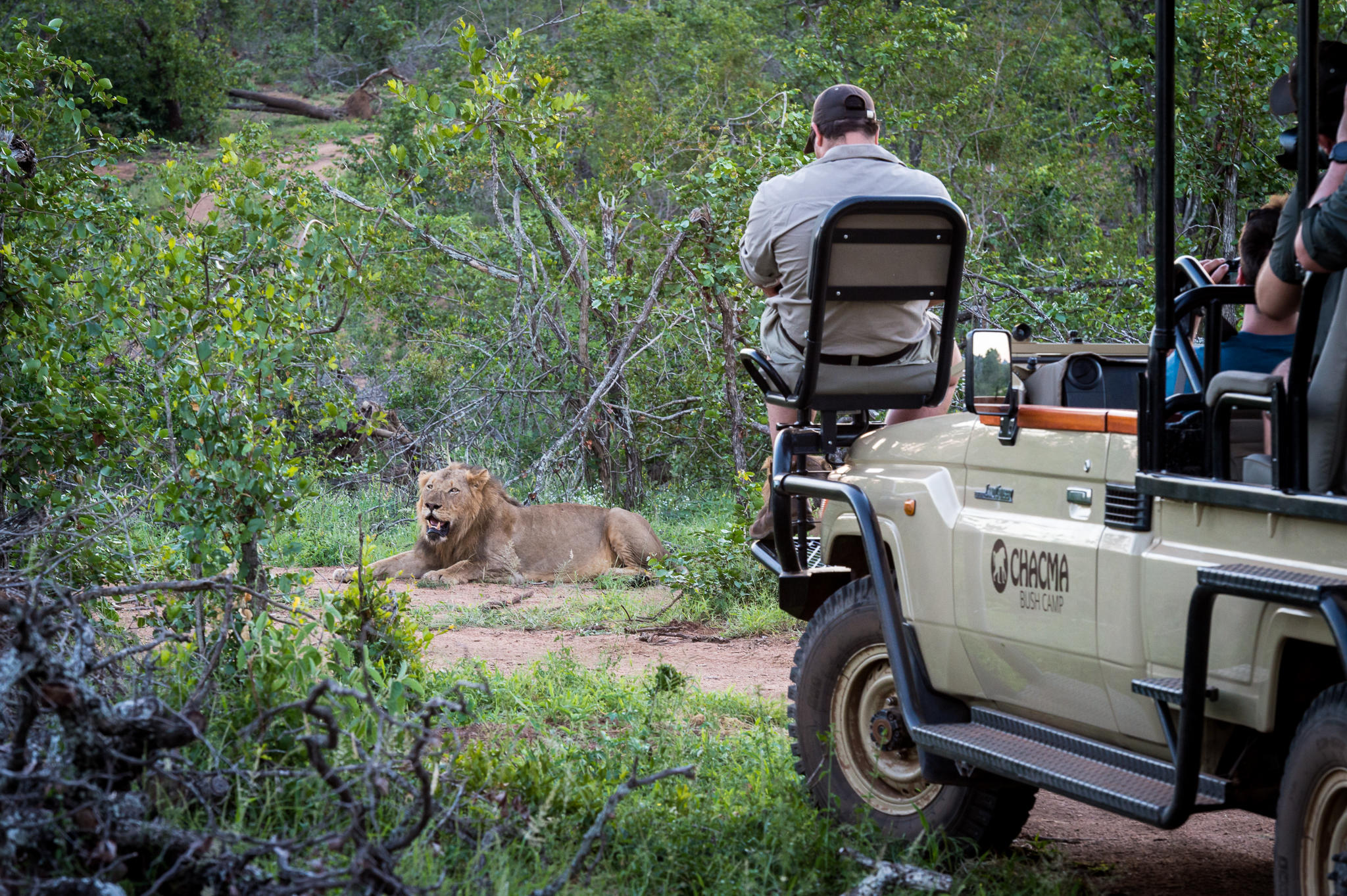 Chacma Bush Camp thumbnail 2